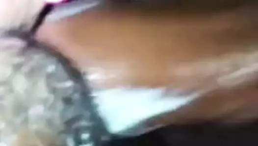 Yakın yukarı kremsi kedi