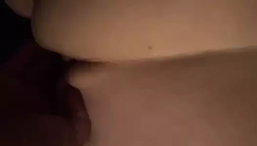 benim büyükanne kedi