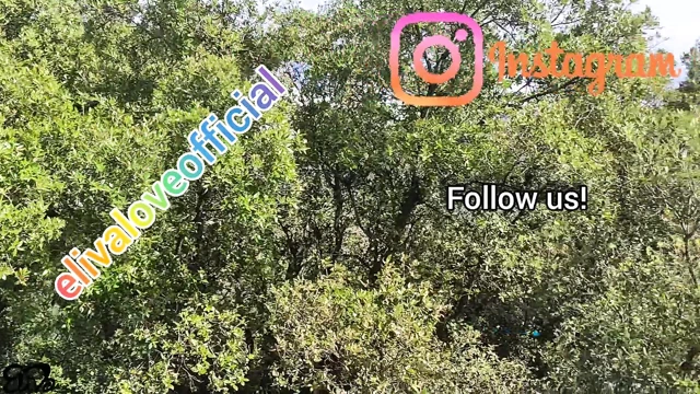 Plaj göğüsleri ve çıplak derleme