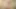 Mariana Cordobas büyük travesti yarak emiyor