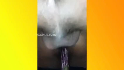 Sri lankalı büyük göt milf sikikleri her ikisi de delikler ile brinjal &amp; çük