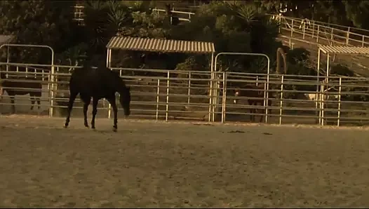 Genç sarışınlar vibratörün insafına onların amları var