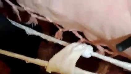 italiana trova che si masturba