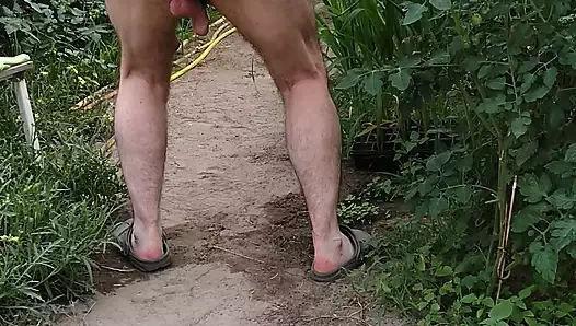 Prostat Stimülasyonu