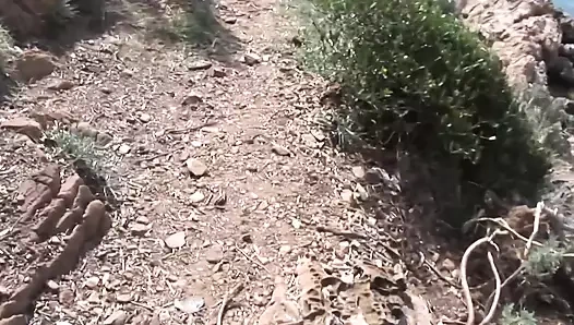 Sahilde livorno seks skandalı