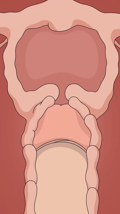 Сногсшибательный момент из "ВИДЕО НАРУТО TSUNADE ХЕНТАЙ АНИМАЦИИ"