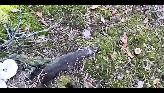 Yürüyüş sert sikişle sona erdi