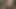 Kadın kılıklı kaltak eğitmeni gifs 4