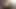 New York American gets her vagina  and fingered and then fucks and gets cumshot