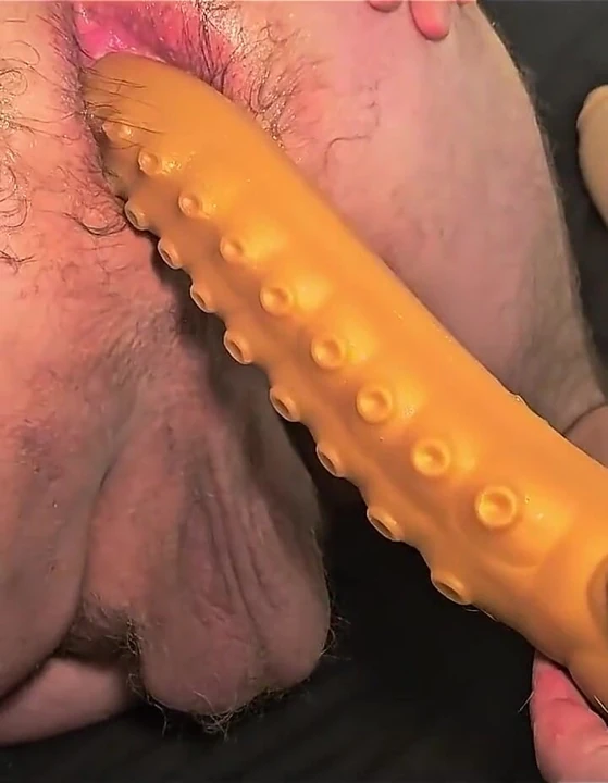 Tombul ayı dildo oyunu