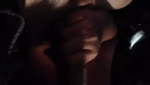 Hint emme beyaz horoz