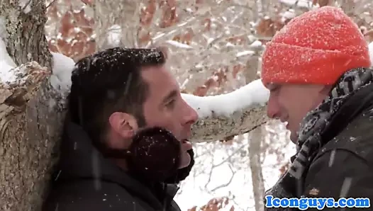 Olgun ayı anal ile genç damızlık için umurunda