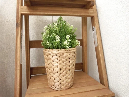 M635g01 Telework'te mola vermek için bir Deriheru'y ararsanız, Sınırsız Yönetmen