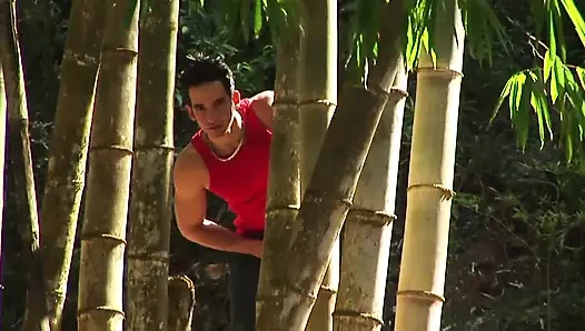 Açık havada eşcinsel sikiş festivali - bölüm 2