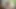 Candee Licious, Karina King ve May Thai koruma ile dörtlü seks seansı