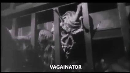 vagainator