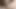 Seksi külotla mastürbasyonla titreyerek orgazm