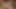 Olgun esmer orta yaşlı seksi kadın derin parmaklama için kıllı amcığını açıyor