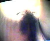 (54) husufenghemşireler tayvan