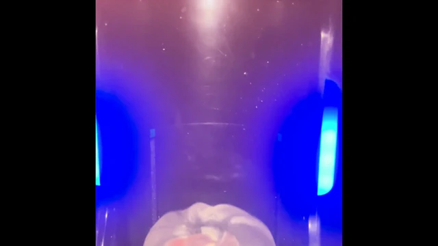 Islak sesler zamanı