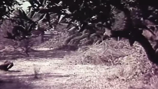 Çılgın fahişeler vol.3 - bölüm 8