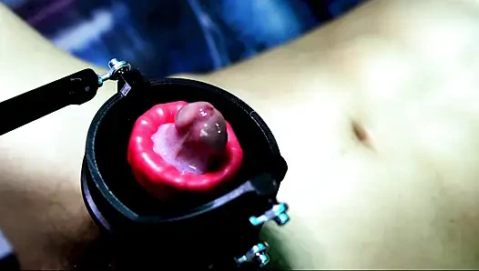 Penis Test