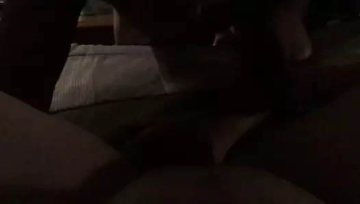 7918 kedi üzerinde yemek