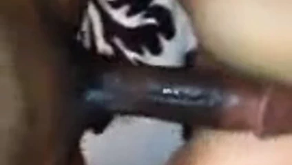 Bak nasıl ıslak &amp; kremsi onu kedi 4 onun bbc alır