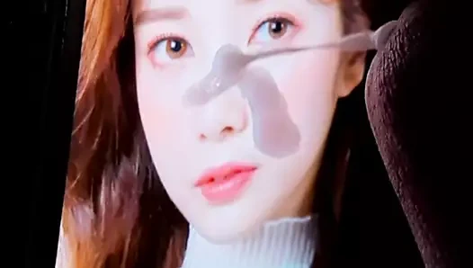 April chaekyung doğum günü boşalmak haraç