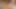Asyalı bir kadın anal seksten sonra bir adamın penisinde oral seks yapıyor, gırtlağına kadar alıyor