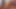 Maya 1.5