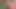 252523502