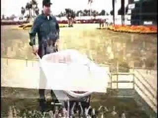 Amy akıllı sikikleri jason statham