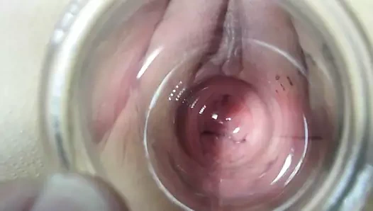 Kedi yakın yukarı bakın içeride