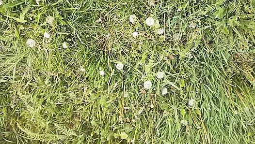 Öğle tatilinde köylü kız amına mastürbasyon yapıyor - lesbian-candys