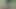 Ordu çocuğu odununu ormanda okşuyor