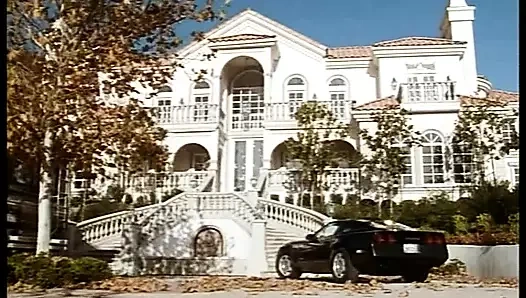 New Haven fahişeleri %233 - bölüm 2