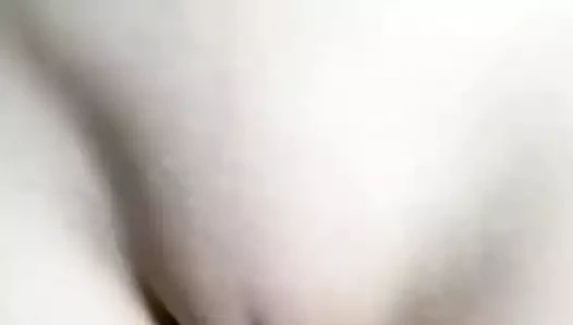 Kedi tıraşlı üzerinde kamera