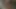 Esmer kadın yarağını tatmin ettikten sonra fotoğrafını çekmek için