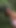 Country MILF Flirts with Me at the Fair and We Meet up in the Woods