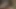 10.03.2020