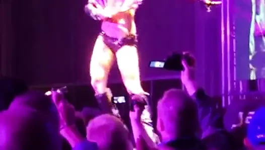 Kittycat auf der Venus 2016