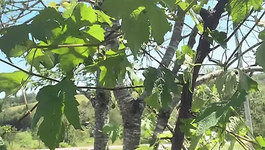 Üzüm ağacının yanında dışarıda işiyor