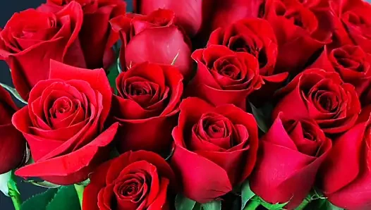 Bangla choti golpo full story in Bangla full  choti golpo beautiful mature saree chachi cheating hasband full story in Bangla au