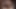 Rachel Amber Light Hentai 3D Animasyon Sansürsüz