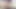Kayısı pitts seksi kıllı vücudunu yağlıyor ve sonra çalısını ıslatmak için büyük vibratörünü alıyor.