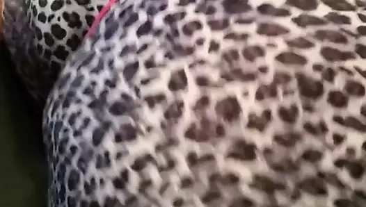 Jellojuggz44f bbw twerking büyük ole pamuk şeker yumuşak bootyl