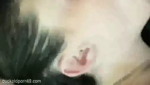 Pawg amatuer milf itibaren aff alır bbc becca