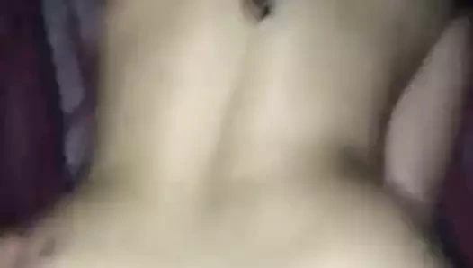 yaramaz latina piliç alınan gibi bir köpek