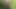 Kopftuch MILF zeigt Arsch